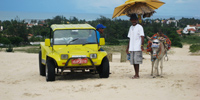 Ilha do Guajirú - The ecological paradise!