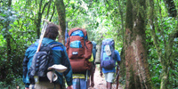 Ilha do Guajirú - The ecological paradise!