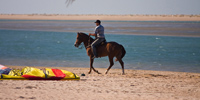 Ilha do Guajirú - The ecological paradise!