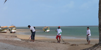 Ilha do Guajirú - The ecological paradise!