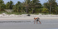 Ilha do Guajirú - The ecological paradise!