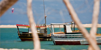 Ilha do Guajirú - The ecological paradise!