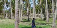 Ilha do Guajirú - The ecological paradise!