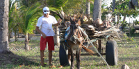 Ilha do Guajirú - The ecological paradise!