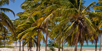 Ilha do Guajirú - The ecological paradise!