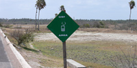 Ilha do Guajirú - The ecological paradise!