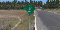 Ilha do Guajirú - The ecological paradise!