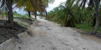 Ilha do Guajirú - The ecological paradise!