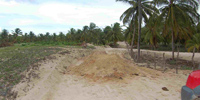 Ilha do Guajirú - The ecological paradise!