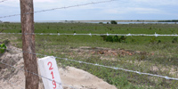 Ilha do Guajirú - The ecological paradise!