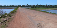 Ilha do Guajirú - The ecological paradise!