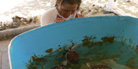 Ilha do Guajirú - The ecological paradise!