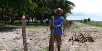 Ilha do Guajirú - The ecological paradise!