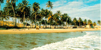 Ilha do Guajirú - The ecological paradise!