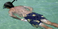 Ilha do Guajirú - The ecological paradise!