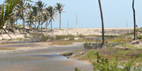 Ilha do Guajirú - The ecological paradise!