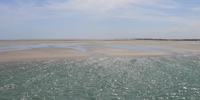 Ilha do Guajirú - The ecological paradise!