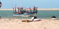 Ilha do Guajirú - The ecological paradise!