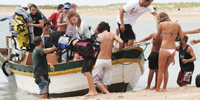 Ilha do Guajirú - The ecological paradise!