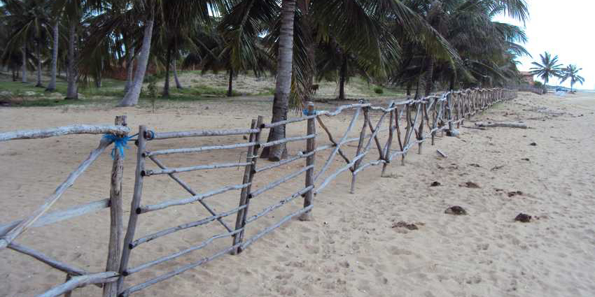 Ilha do Guajirú - The ecological paradise!