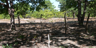 Ilha do Guajirú - The ecological paradise!